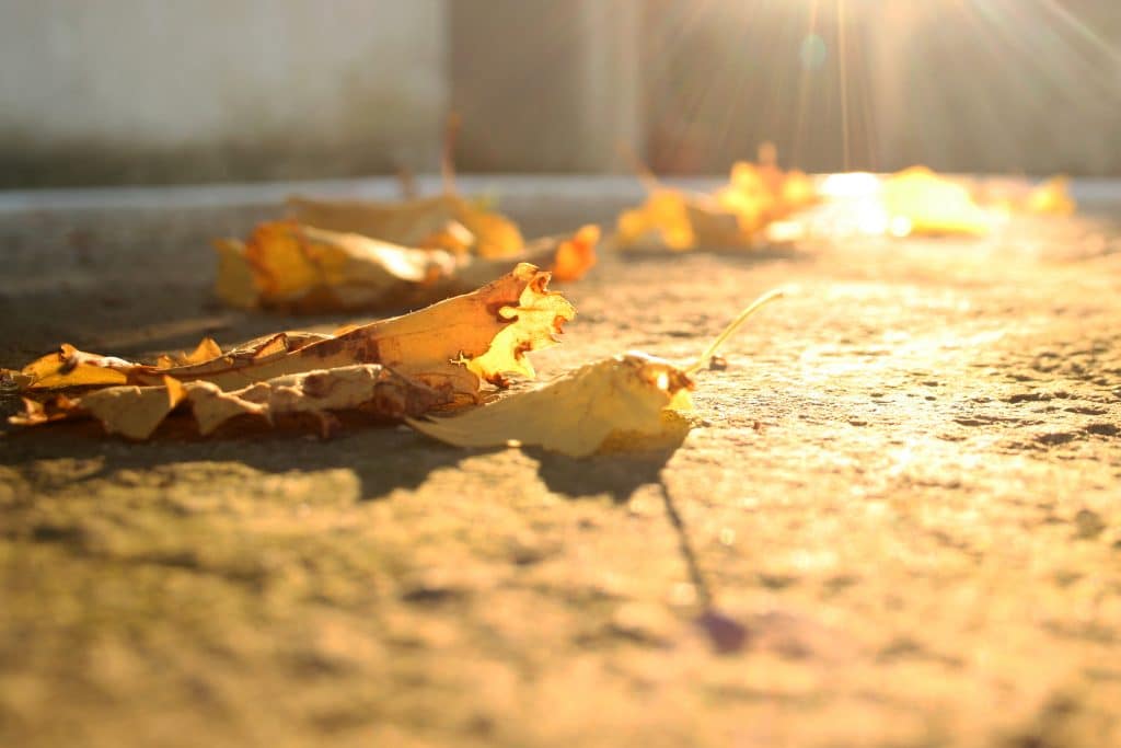 Concrete maintenance tips for fall
